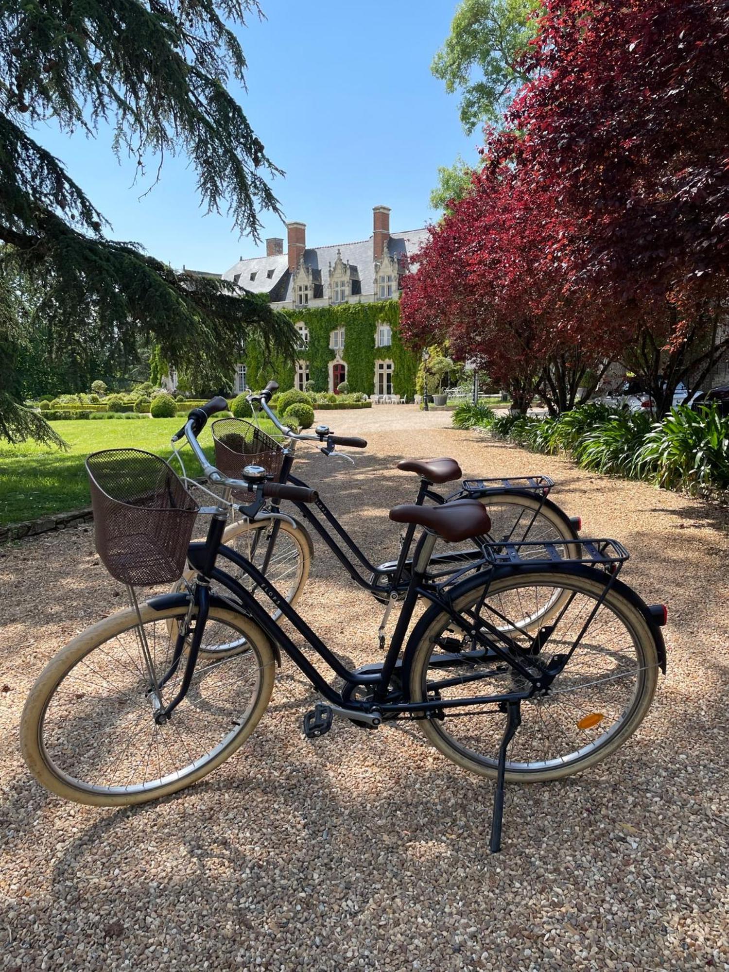 Chateau De L'Epinay Saint-Georges sur Loire Экстерьер фото